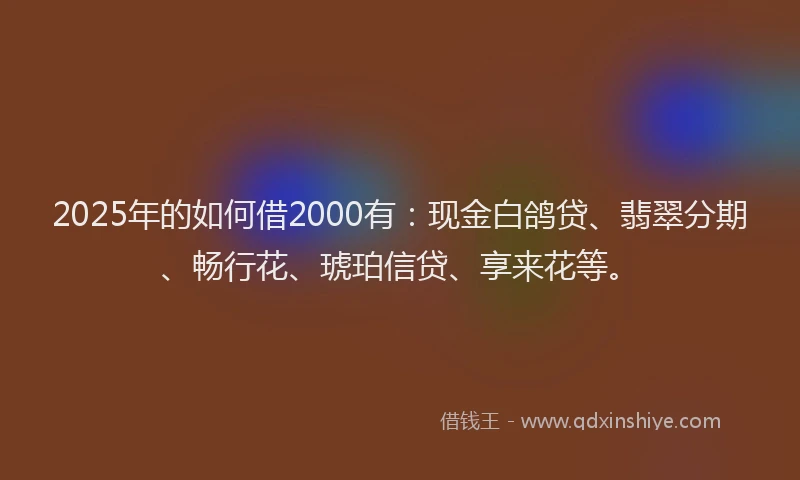 2025年的如何借2000有：现金白鸽贷、翡翠分期、畅行花、琥珀信贷、享来花等。