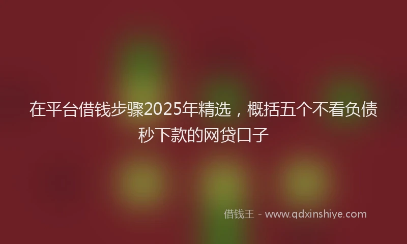 在平台借钱步骤2025年精选，概括五个不看负债秒下款的网贷口子