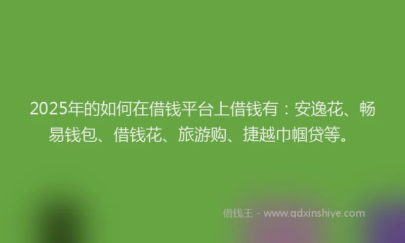 2025年的如何在借钱平台上借钱有：安逸花、畅易钱包、借钱花、旅游购、捷越巾帼贷等。