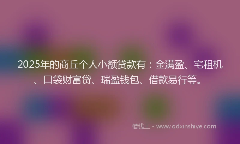 2025年的商丘个人小额贷款有：金满盈、宅租机、口袋财富贷、瑞盈钱包、借款易行等。