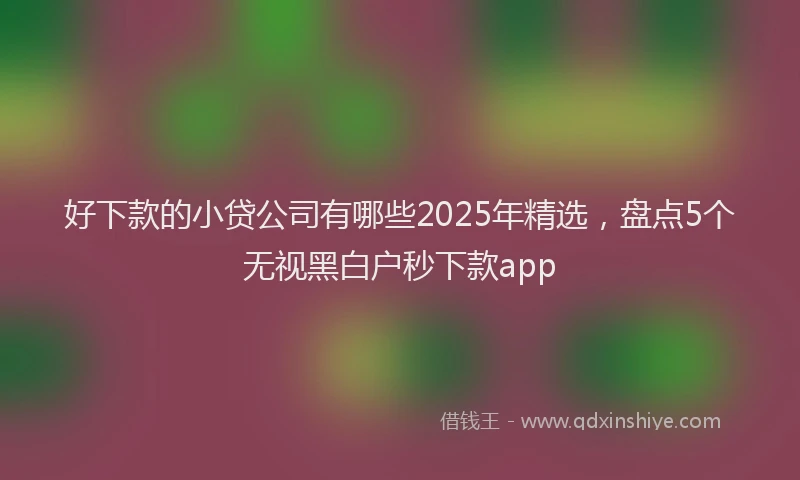 好下款的小贷公司有哪些2025年精选，盘点5个无视黑白户秒下款app