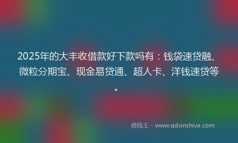 2025年的大丰收借款好下款吗有：钱袋速贷融、微粒分期宝、现金易贷通、超人卡、洋钱速贷等。