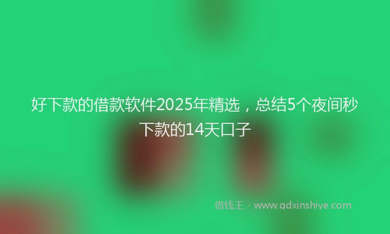 好下款的借款软件2025年精选，总结5个夜间秒下款的14天口子