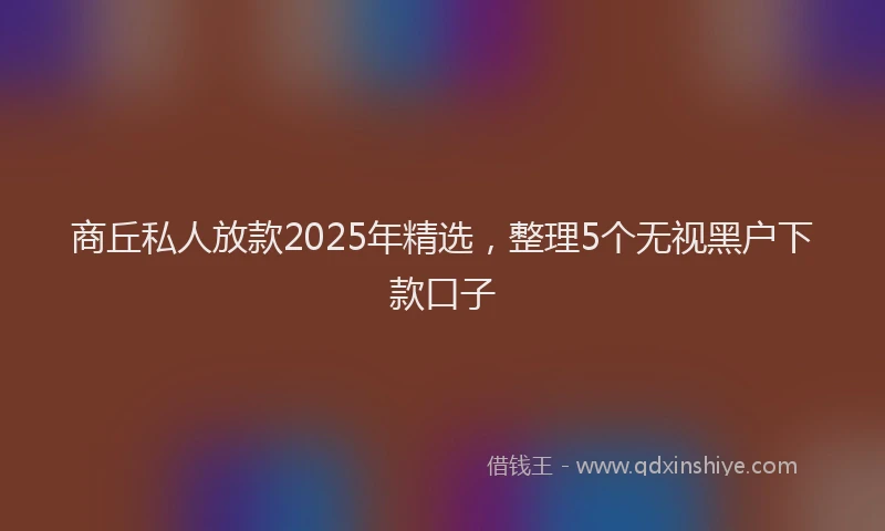 商丘私人放款2025年精选，整理5个无视黑户下款口子