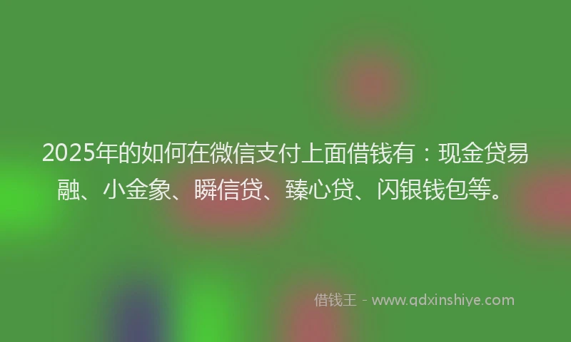 2025年的如何在微信支付上面借钱有：现金贷易融、小金象、瞬信贷、臻心贷、闪银钱包等。