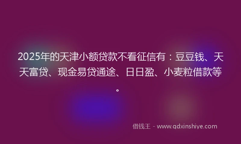2025年的天津小额贷款不看征信有：豆豆钱、天天富贷、现金易贷通途、日日盈、小麦粒借款等。