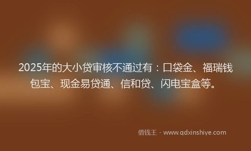 2025年的大小贷审核不通过有：口袋金、福瑞钱包宝、现金易贷通、信和贷、闪电宝盒等。