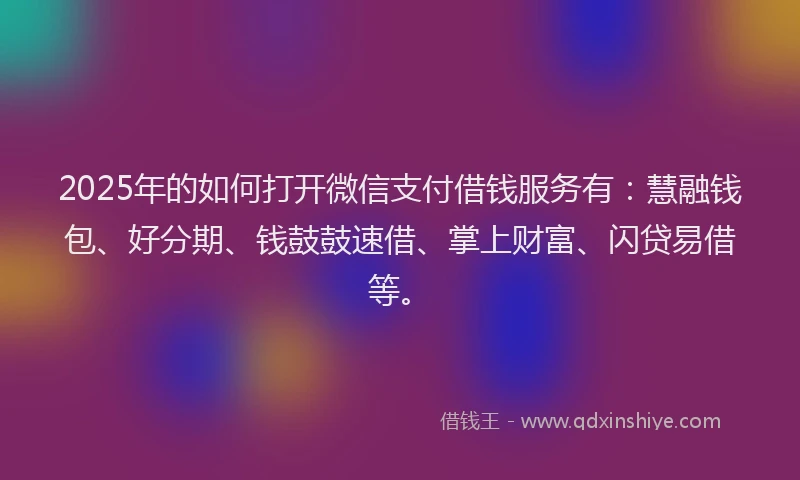 2025年的如何打开微信支付借钱服务有：慧融钱包、好分期、钱鼓鼓速借、掌上财富、闪贷易借等。