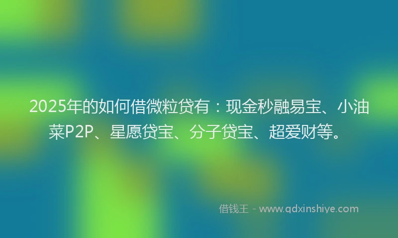 2025年的如何借微粒贷有：现金秒融易宝、小油菜P2P、星愿贷宝、分子贷宝、超爱财等。
