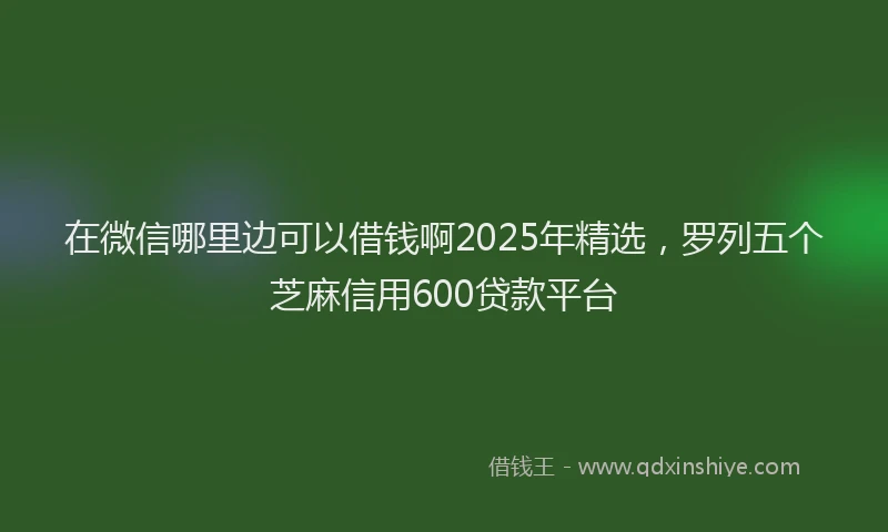 在微信哪里边可以借钱啊2025年精选，罗列五个芝麻信用600贷款平台