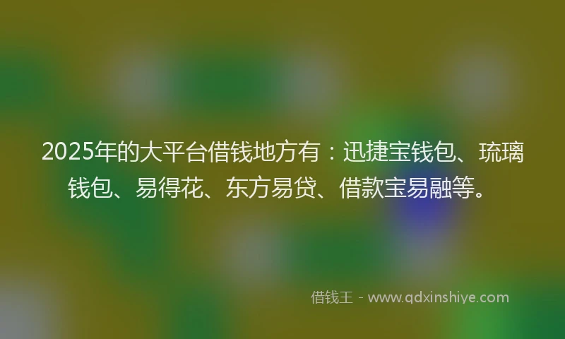 2025年的大平台借钱地方有：迅捷宝钱包、琉璃钱包、易得花、东方易贷、借款宝易融等。