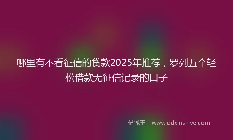 哪里有不看征信的贷款2025年推荐，罗列五个轻松借款无征信记录的口子