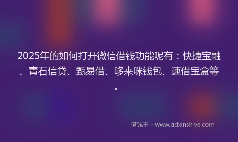 2025年的如何打开微信借钱功能呢有：快捷宝融、青石信贷、甄易借、哆来咪钱包、速借宝盒等。