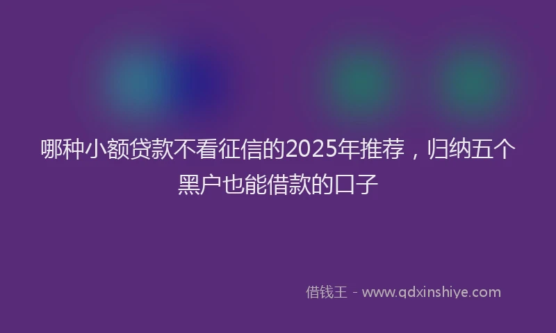 哪种小额贷款不看征信的2025年推荐，归纳五个黑户也能借款的口子
