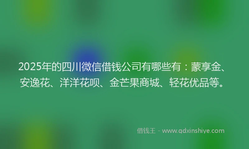 2025年的四川微信借钱公司有哪些有：蒙享金、安逸花、洋洋花呗、金芒果商城、轻花优品等。