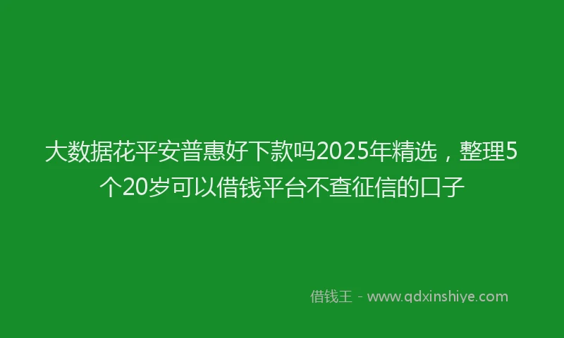 大数据花平安普惠好下款吗2025年精选，整理5个20岁可以借钱平台不查征信的口子