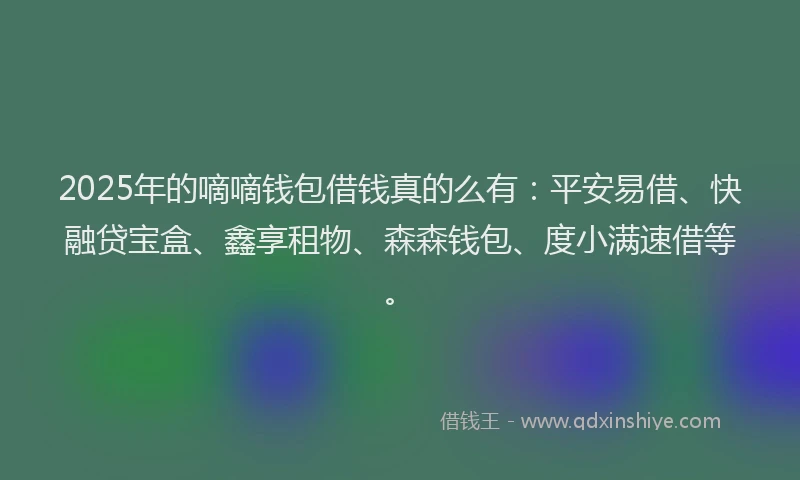 2025年的嘀嘀钱包借钱真的么有：平安易借、快融贷宝盒、鑫享租物、森森钱包、度小满速借等。