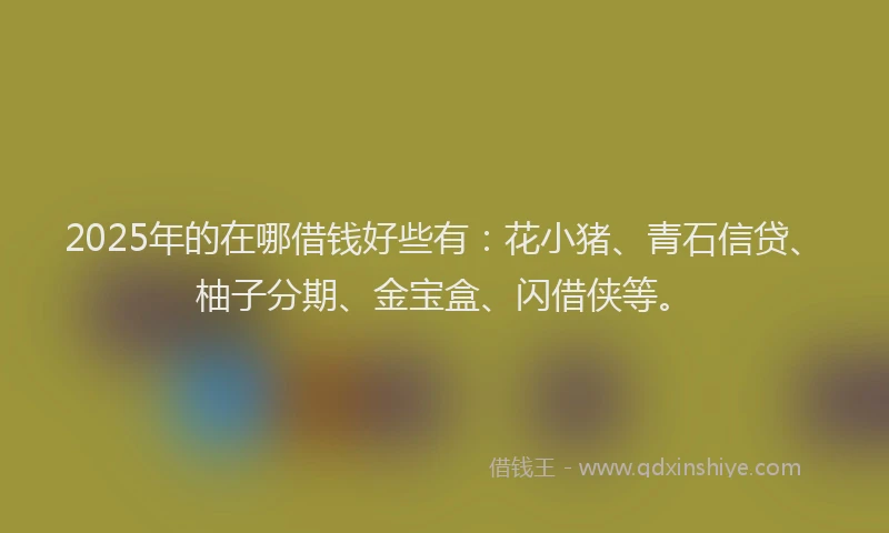 2025年的在哪借钱好些有：花小猪、青石信贷、柚子分期、金宝盒、闪借侠等。