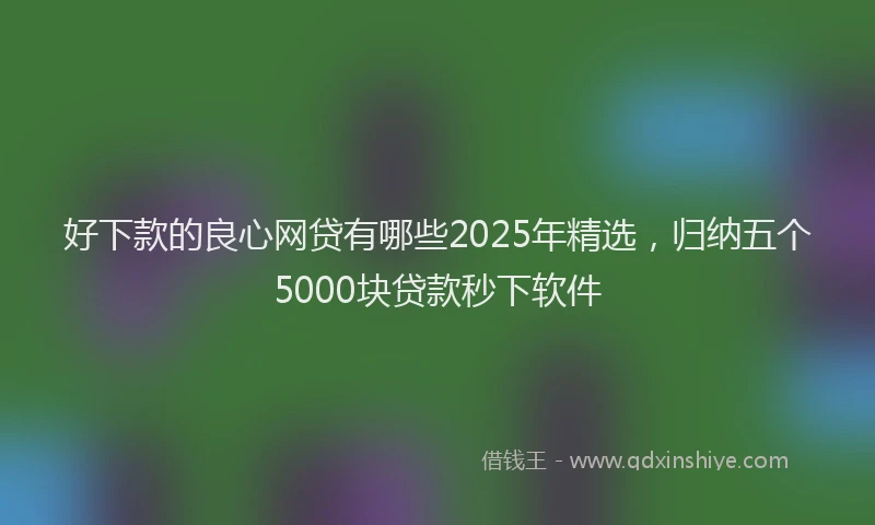 好下款的良心网贷有哪些2025年精选，归纳五个5000块贷款秒下软件