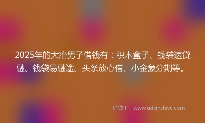 2025年的大冶男子借钱有：积木盒子、钱袋速贷融、钱袋易融途、头条放心借、小金象分期等。