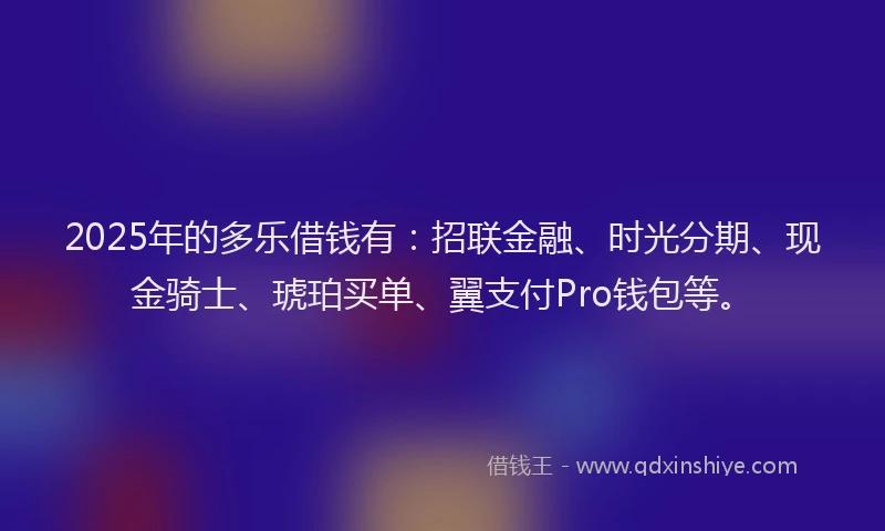 2025年的多乐借钱有：招联金融、时光分期、现金骑士、琥珀买单、翼支付Pro钱包等。