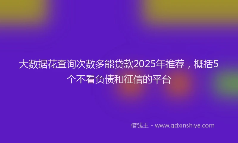 大数据花查询次数多能贷款2025年推荐，概括5个不看负债和征信的平台