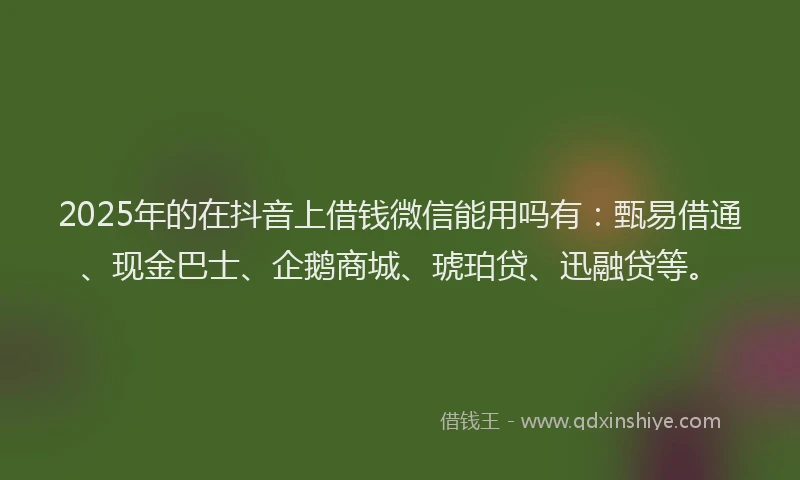 2025年的在抖音上借钱微信能用吗有：甄易借通、现金巴士、企鹅商城、琥珀贷、迅融贷等。