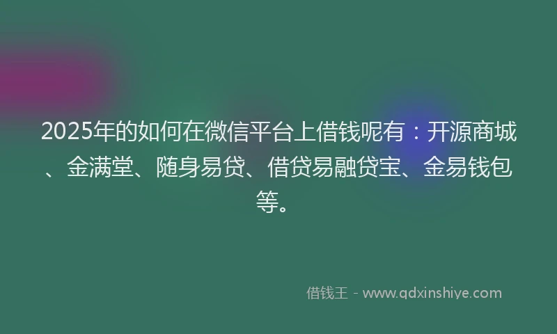 2025年的如何在微信平台上借钱呢有：开源商城、金满堂、随身易贷、借贷易融贷宝、金易钱包等。