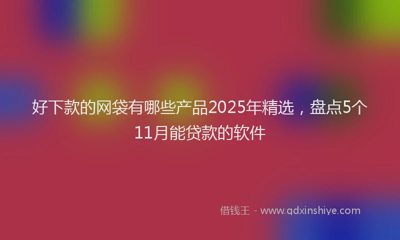 好下款的网袋有哪些产品2025年精选，盘点5个11月能贷款的软件