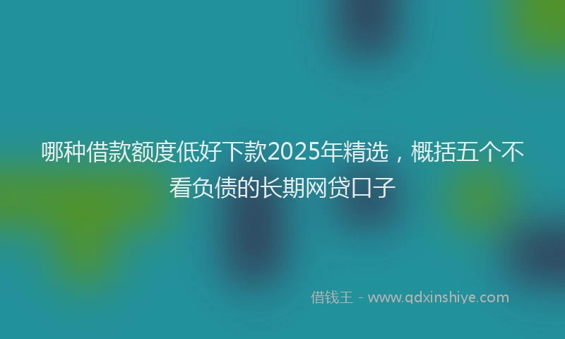 哪种借款额度低好下款2025年精选，概括五个不看负债的长期网贷口子