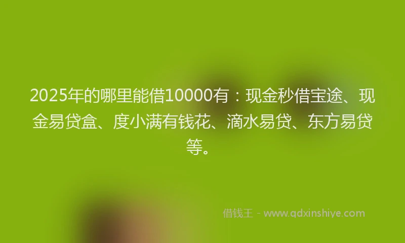 2025年的哪里能借10000有：现金秒借宝途、现金易贷盒、度小满有钱花、滴水易贷、东方易贷等。