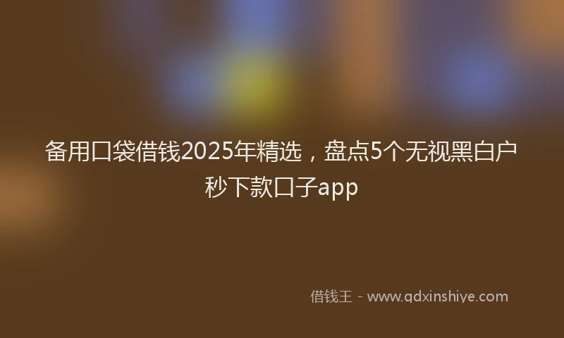 备用口袋借钱2025年精选，盘点5个无视黑白户秒下款口子app