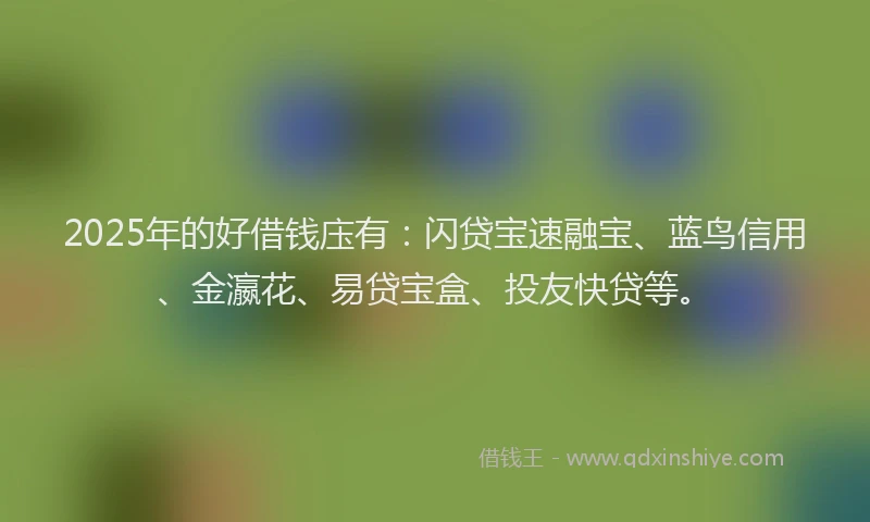 2025年的好借钱庒有：闪贷宝速融宝、蓝鸟信用、金瀛花、易贷宝盒、投友快贷等。