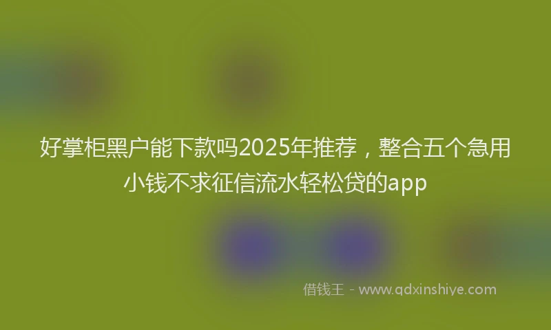 好掌柜黑户能下款吗2025年推荐，整合五个急用小钱不求征信流水轻松贷的app