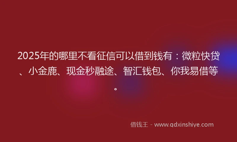 2025年的哪里不看征信可以借到钱有：微粒快贷、小金鹿、现金秒融途、智汇钱包、你我易借等。