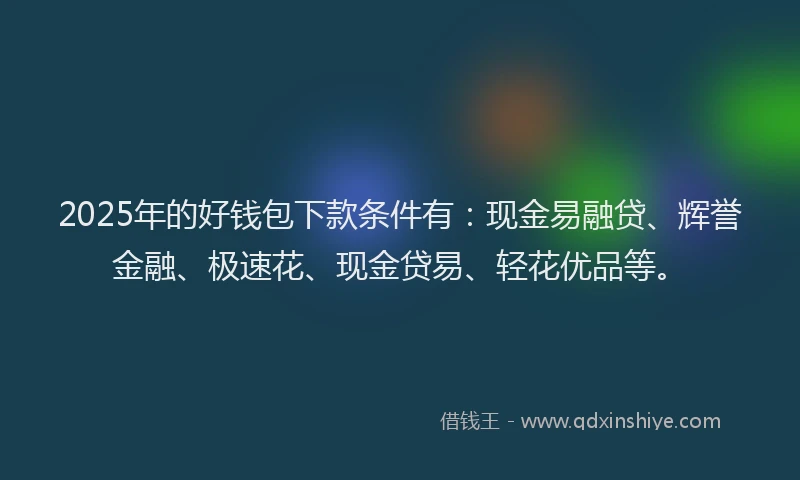 2025年的好钱包下款条件有：现金易融贷、辉誉金融、极速花、现金贷易、轻花优品等。