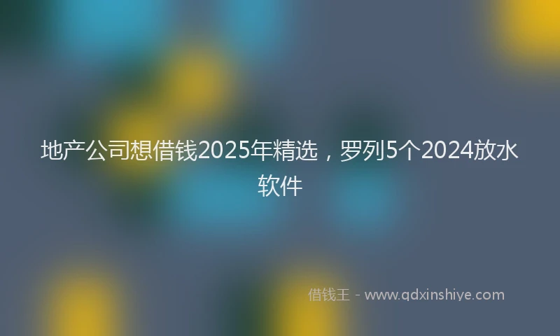 地产公司想借钱2025年精选，罗列5个2024放水软件