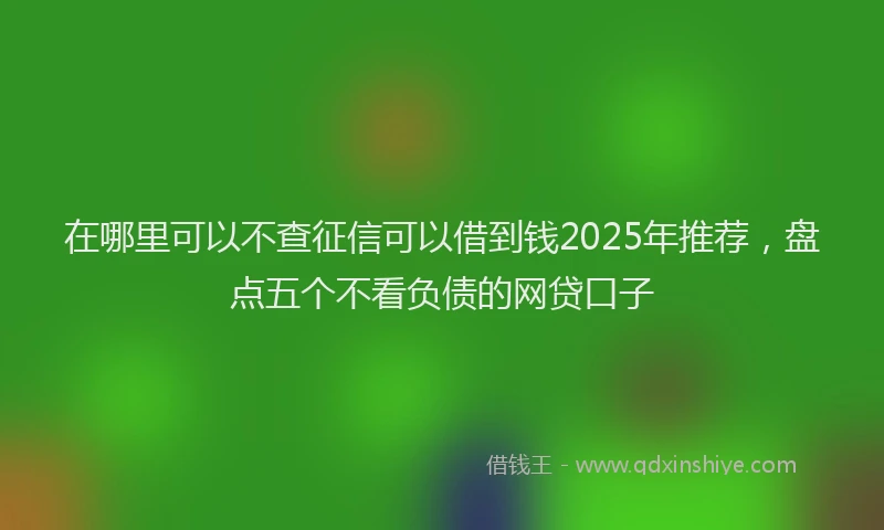 在哪里可以不查征信可以借到钱2025年推荐，盘点五个不看负债的网贷口子