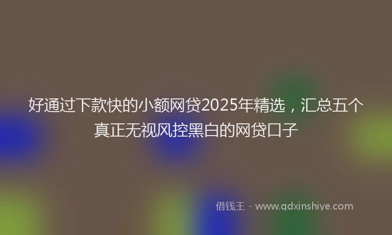 好通过下款快的小额网贷2025年精选，汇总五个真正无视风控黑白的网贷口子