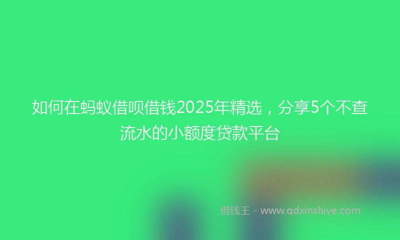 如何在蚂蚁借呗借钱2025年精选，分享5个不查流水的小额度贷款平台