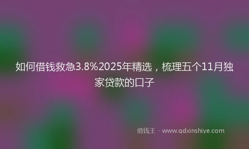 如何借钱救急3.8%2025年精选，梳理五个11月独家贷款的口子