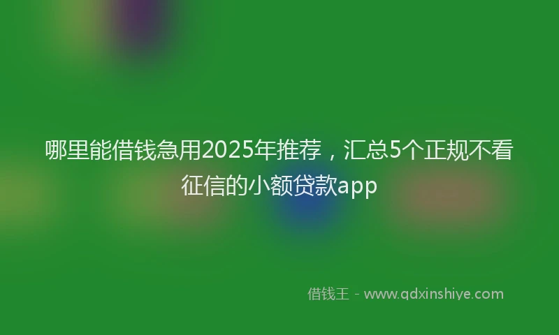 哪里能借钱急用2025年推荐，汇总5个正规不看征信的小额贷款app