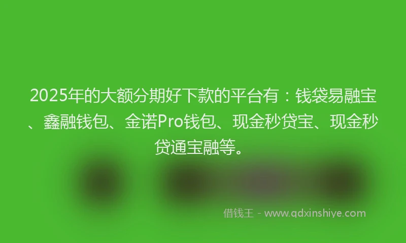 2025年的大额分期好下款的平台有：钱袋易融宝、鑫融钱包、金诺Pro钱包、现金秒贷宝、现金秒贷通宝融等。