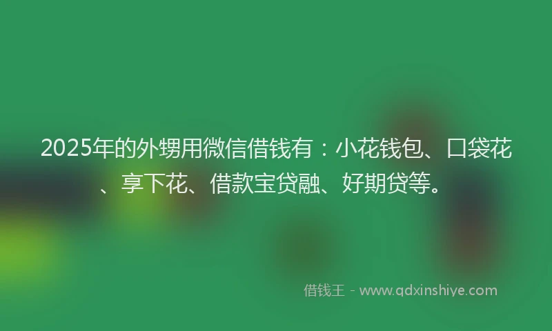 2025年的外甥用微信借钱有：小花钱包、口袋花、享下花、借款宝贷融、好期贷等。