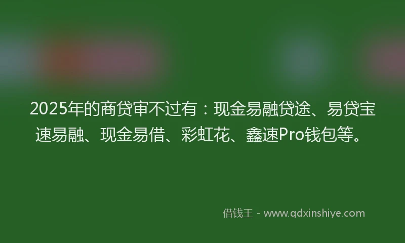 2025年的商贷审不过有：现金易融贷途、易贷宝速易融、现金易借、彩虹花、鑫速Pro钱包等。