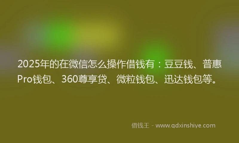 2025年的在微信怎么操作借钱有：豆豆钱、普惠Pro钱包、360尊享贷、微粒钱包、迅达钱包等。