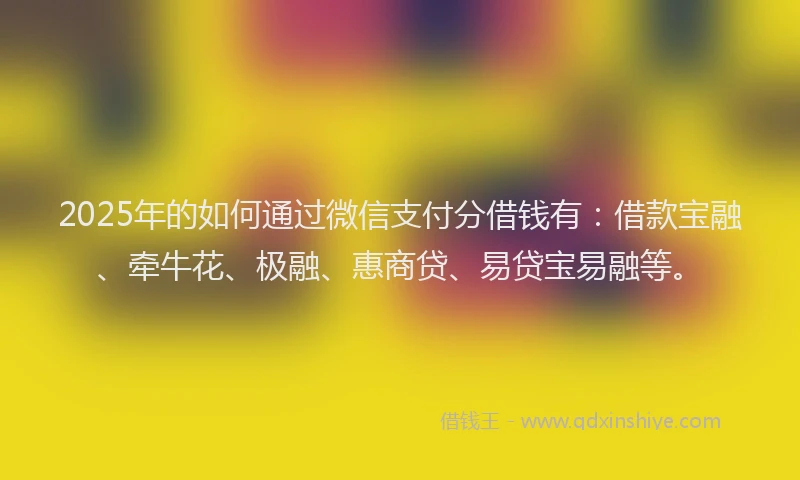 2025年的如何通过微信支付分借钱有：借款宝融、牵牛花、极融、惠商贷、易贷宝易融等。