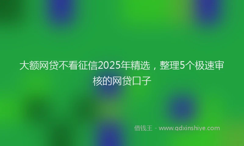 大额网贷不看征信2025年精选，整理5个极速审核的网贷口子