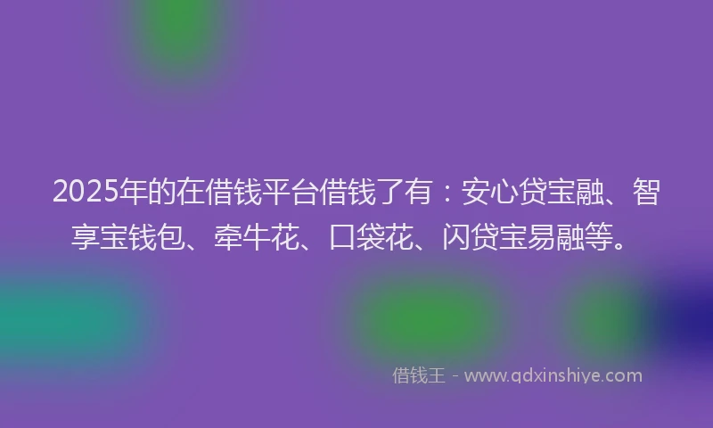 2025年的在借钱平台借钱了有：安心贷宝融、智享宝钱包、牵牛花、口袋花、闪贷宝易融等。