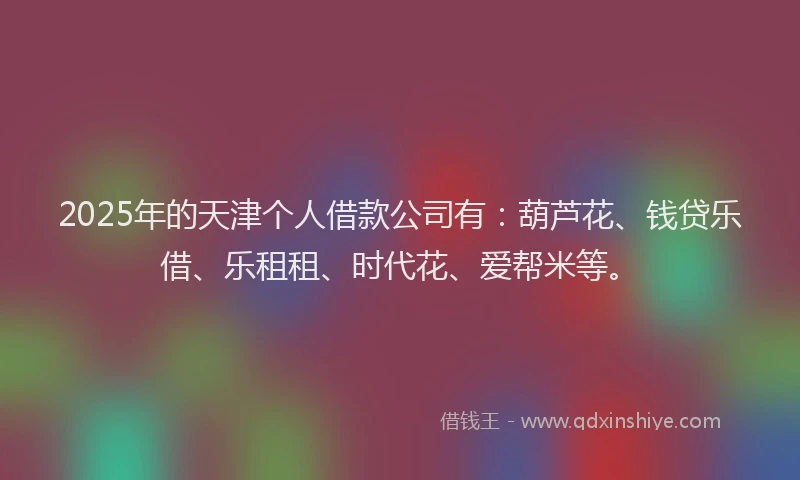 2025年的天津个人借款公司有：葫芦花、钱贷乐借、乐租租、时代花、爱帮米等。